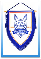 Clubhouse Large Pennants Image