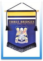 Custom Design Football Pennants Image