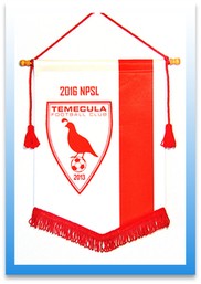 custom soccer pennants Image