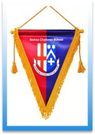 Pennants Image