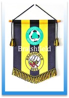 Soccer Club Pennants Image