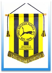 sports pennant Image