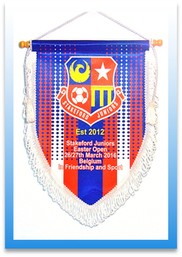 Sports Team Pennants Image