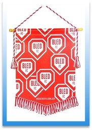 printed soccer pennants